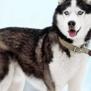 Meet your Posher, Kathleen